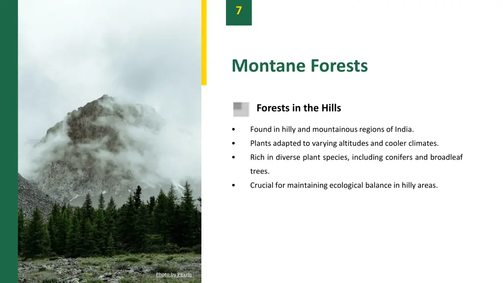 slide9