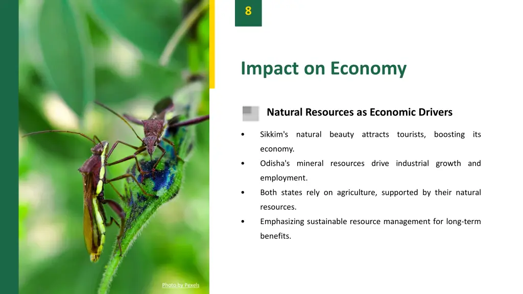 slide10