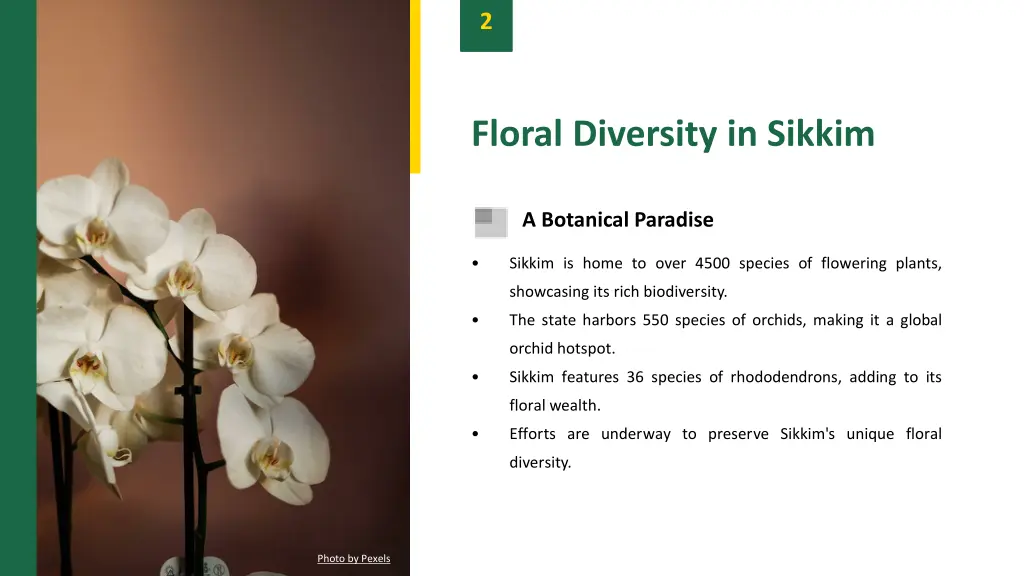 slide4