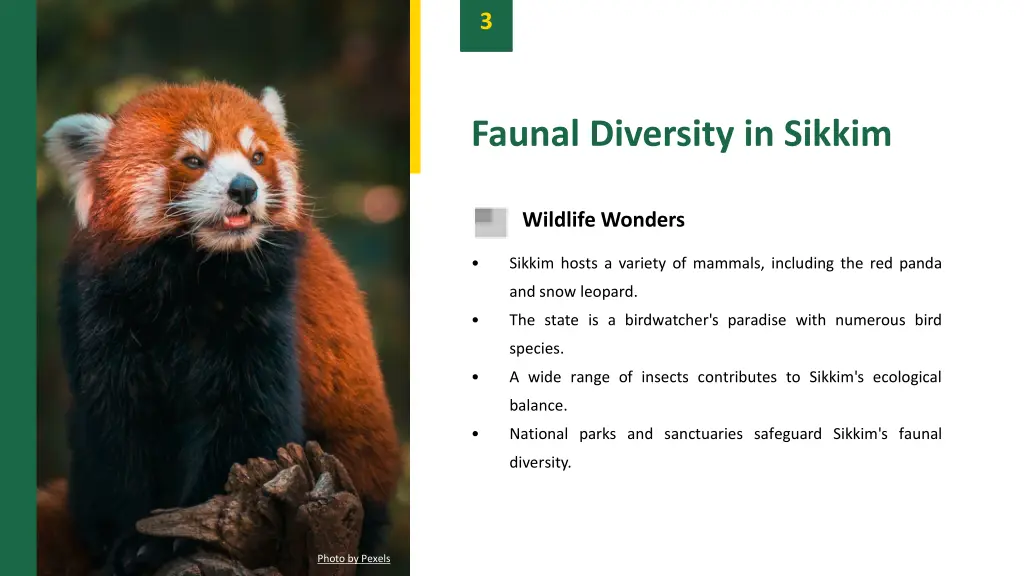 slide5