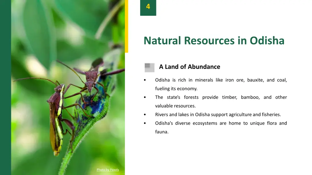 slide6