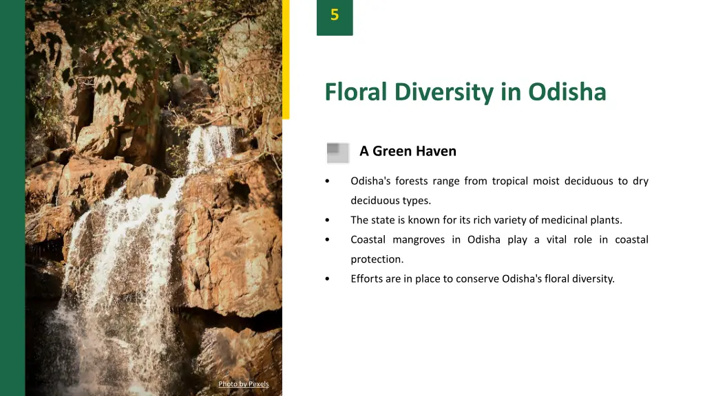 slide7
