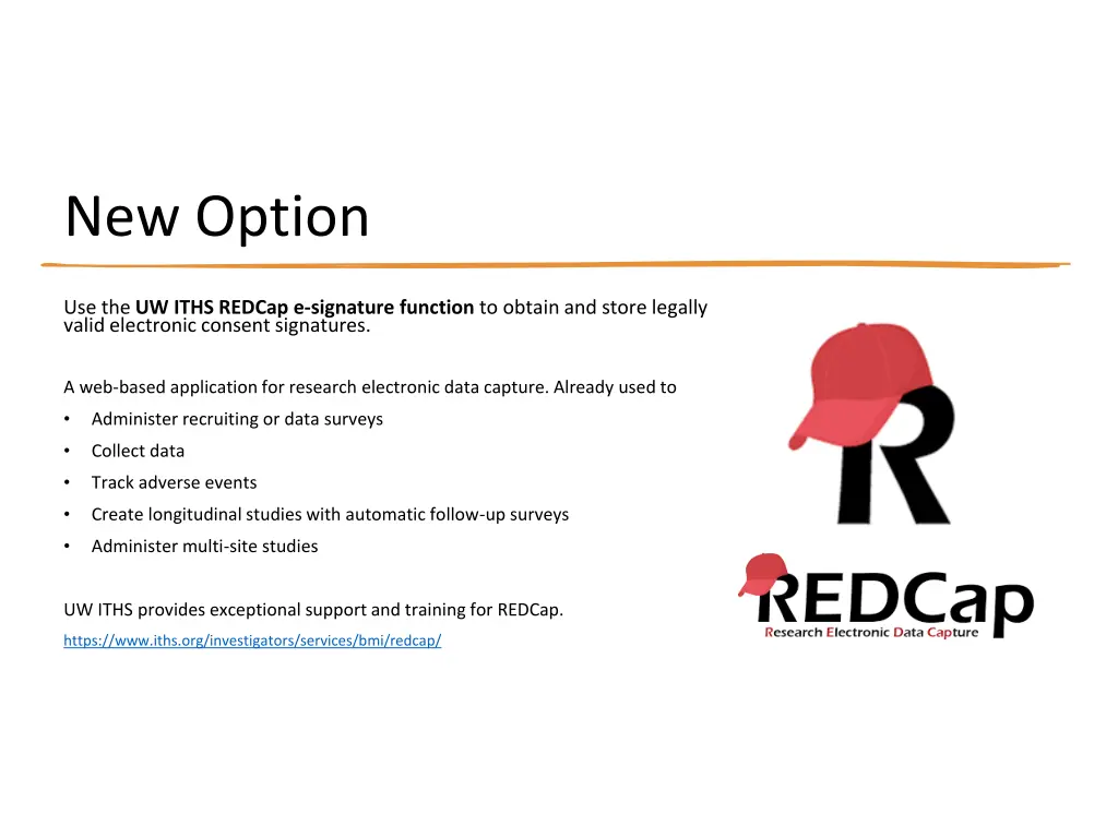 new option