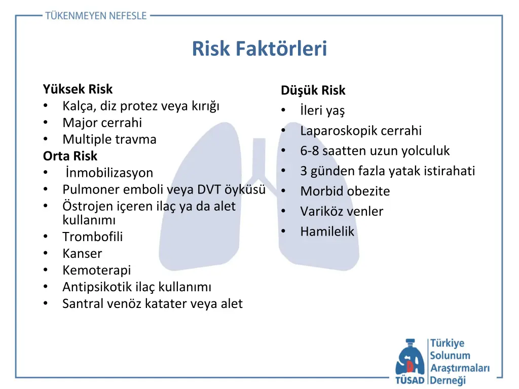 risk fakt rleri