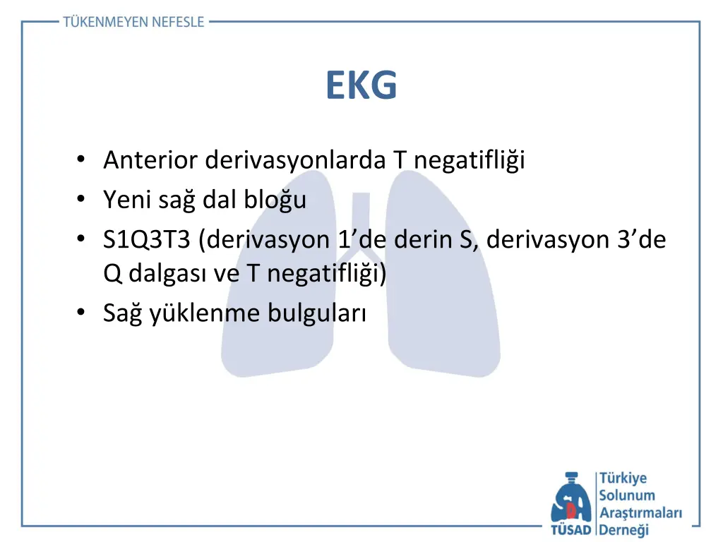 slide19