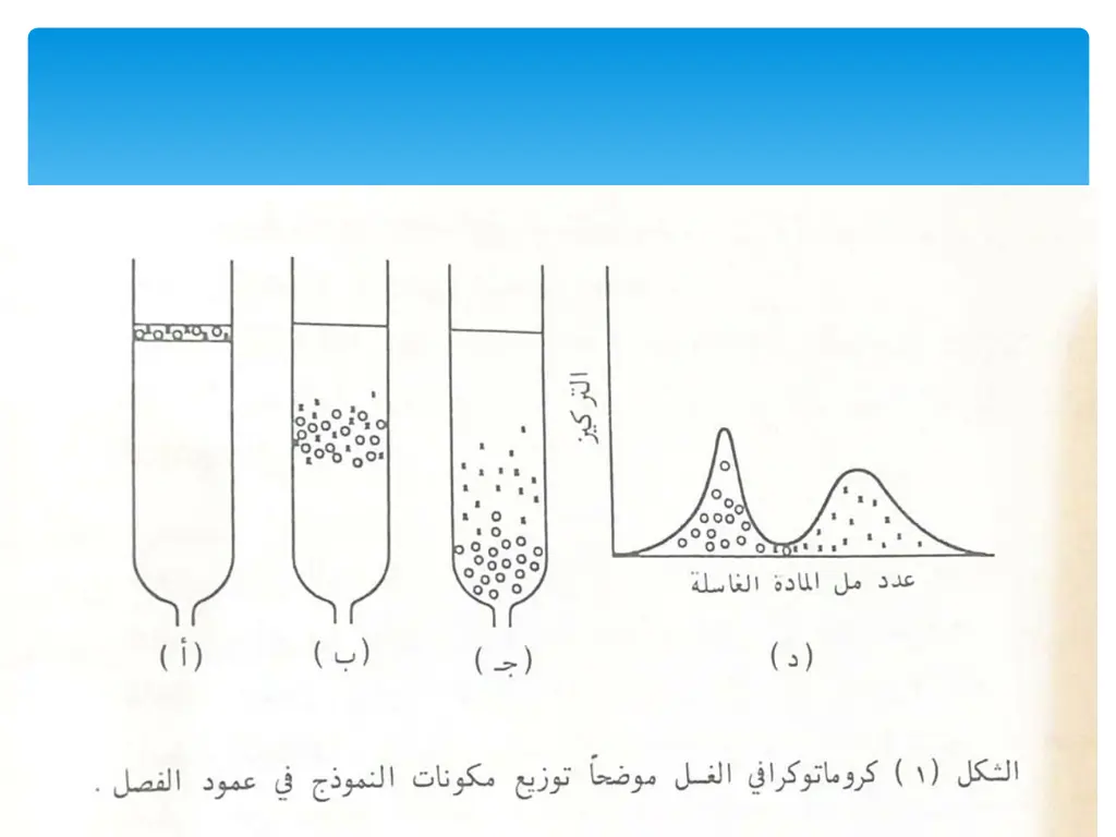 slide5