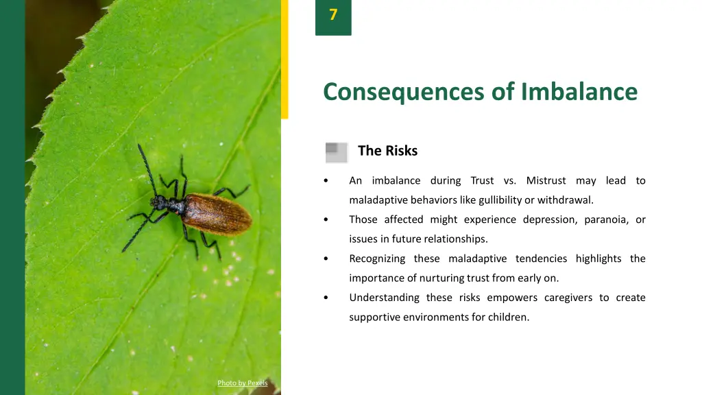 slide9
