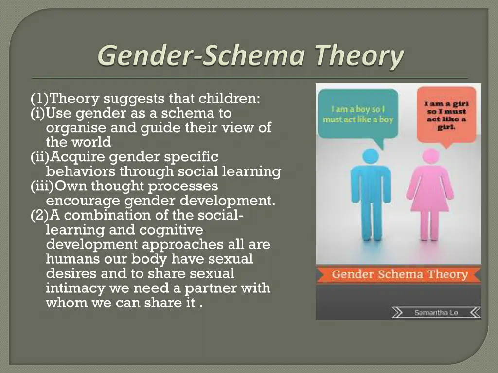 1 theory suggests that children i use gender