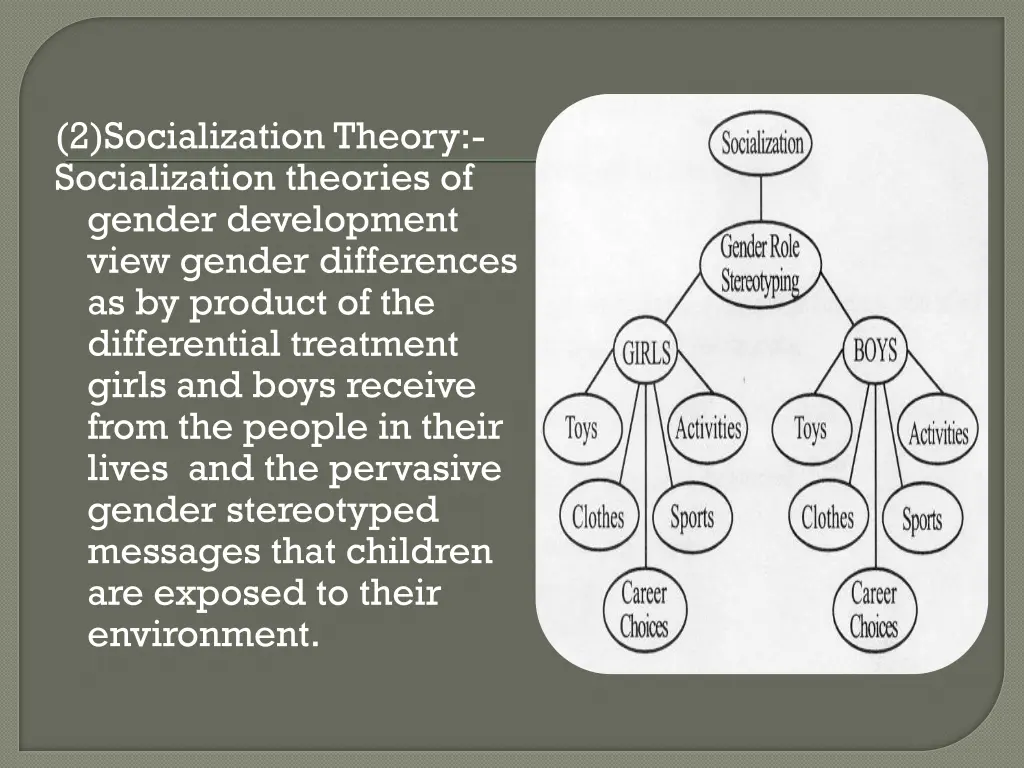 2 socialization theory socialization theories