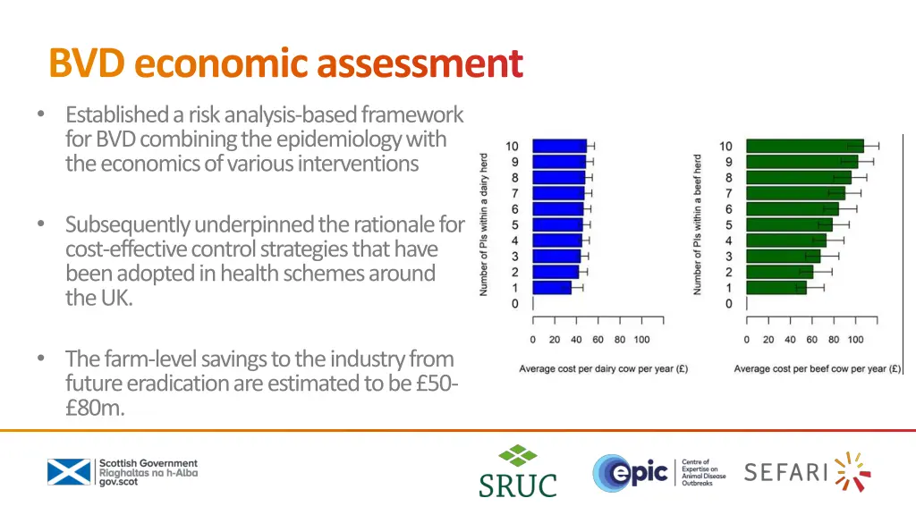 bvd economic assessment