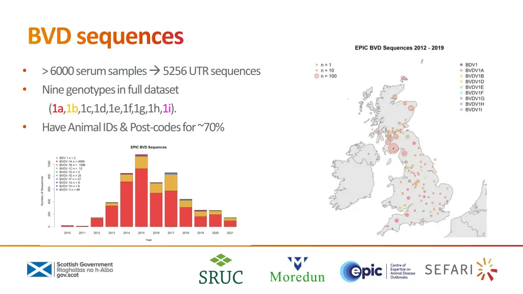 bvd sequences