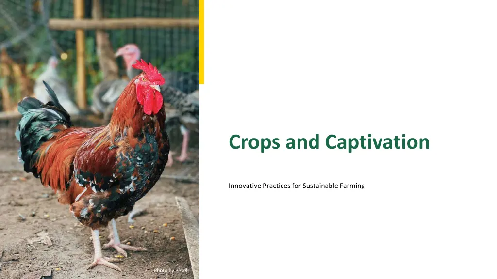 crops and captivation