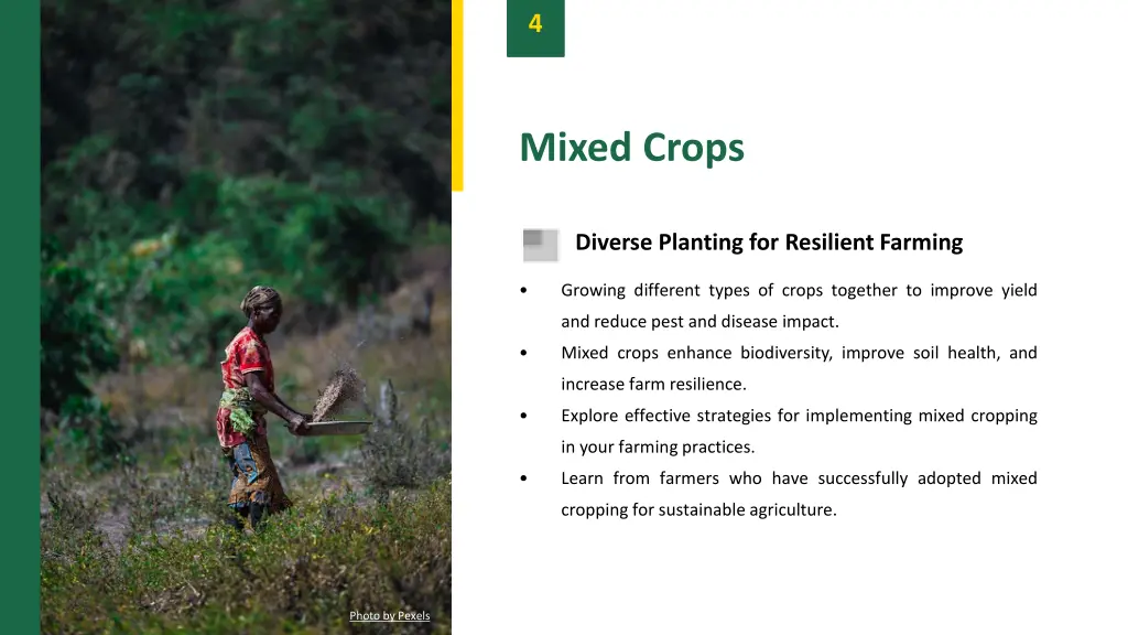 slide6