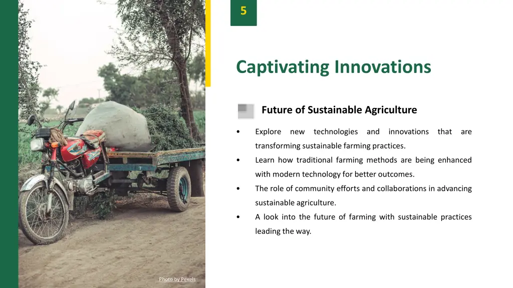 slide7