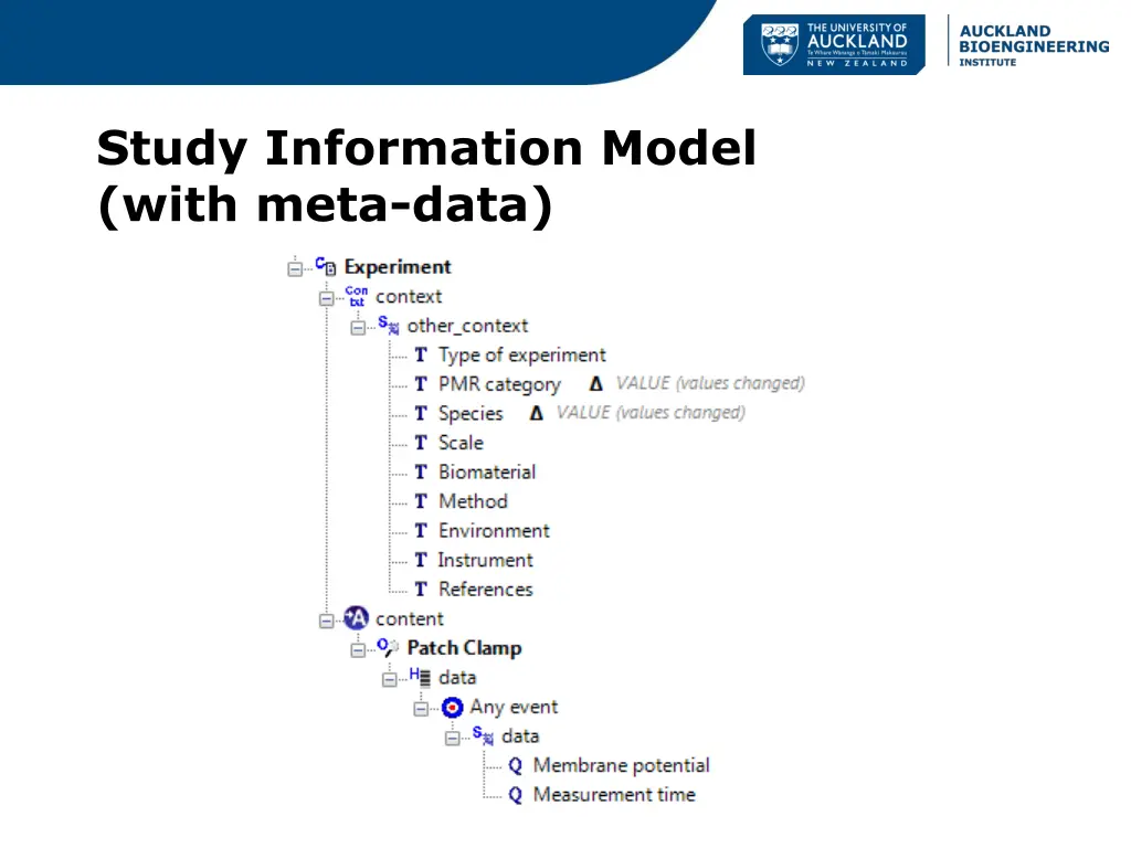 study information model with meta data