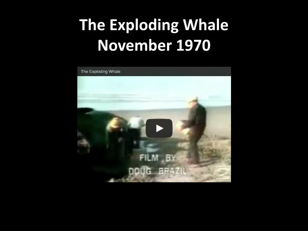the exploding whale november 1970