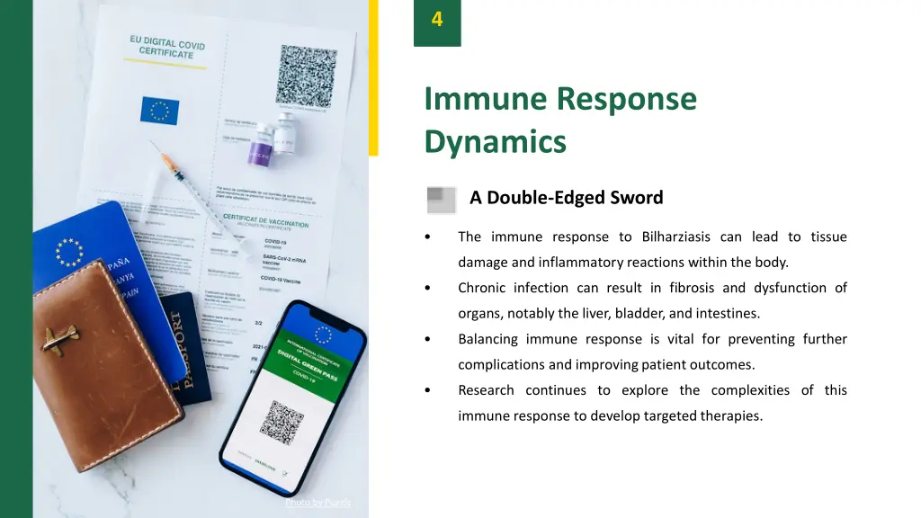 slide6