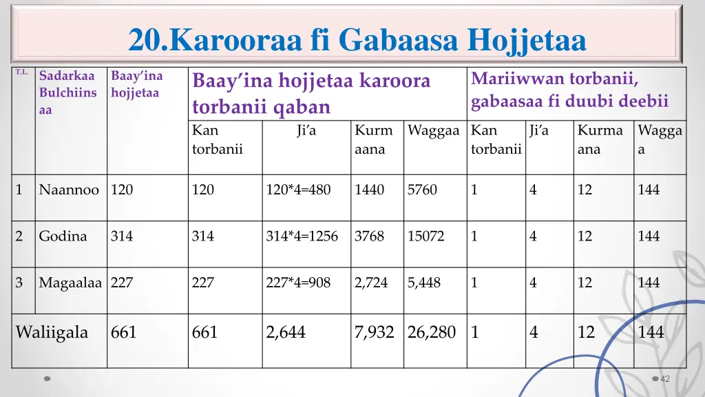 20 karooraa fi gabaasa hojjetaa