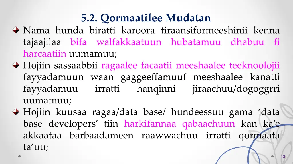 5 2 qormaatilee mudatan nama hunda biratti