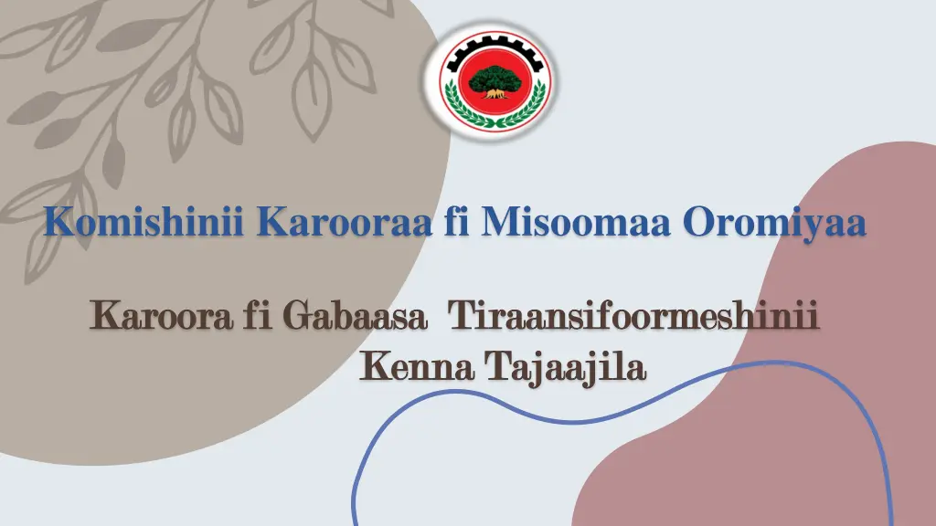 komishinii karooraa fi misoomaa oromiyaa