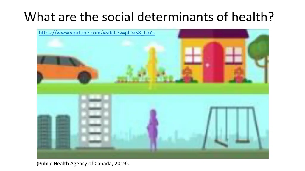 what are the social determinants of health
