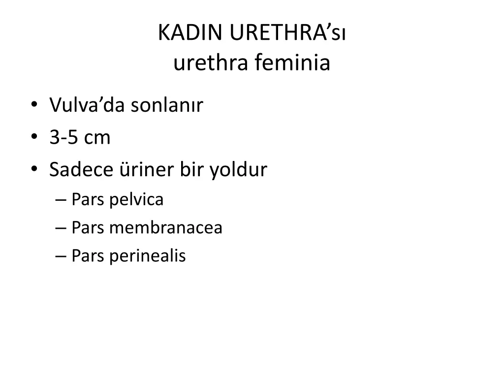 kadin urethra s urethra feminia