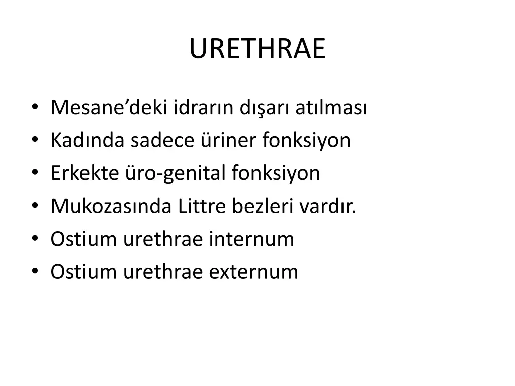 urethrae