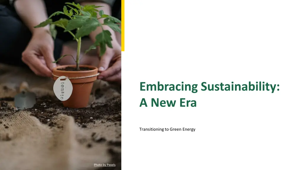 embracing sustainability a new era