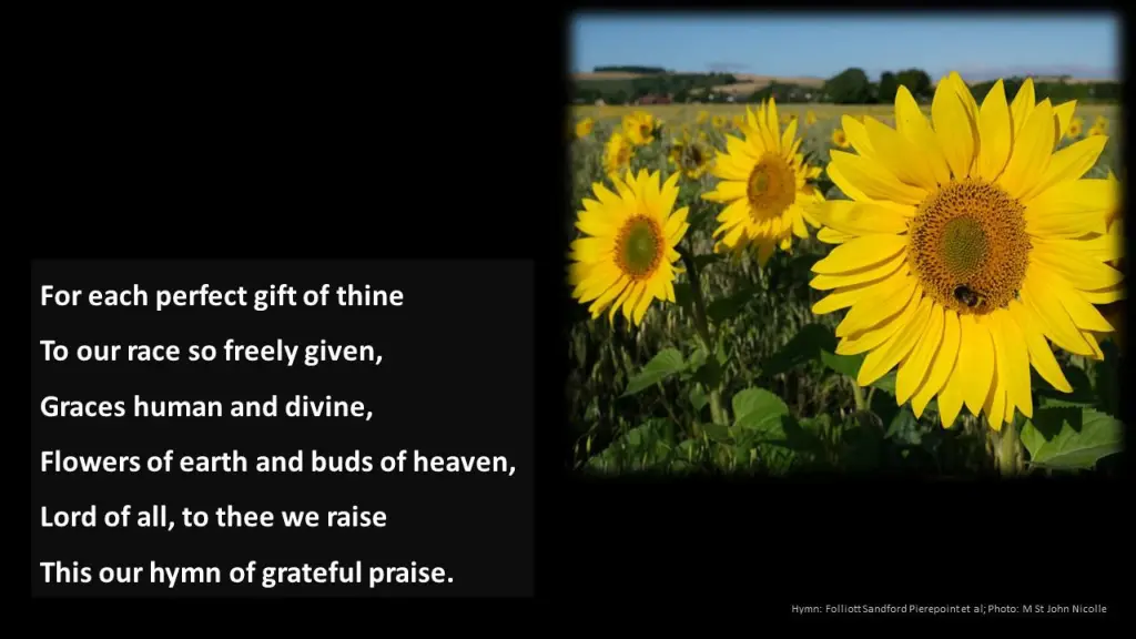 slide5