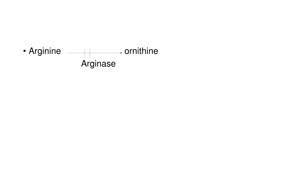arginine ornithine arginase