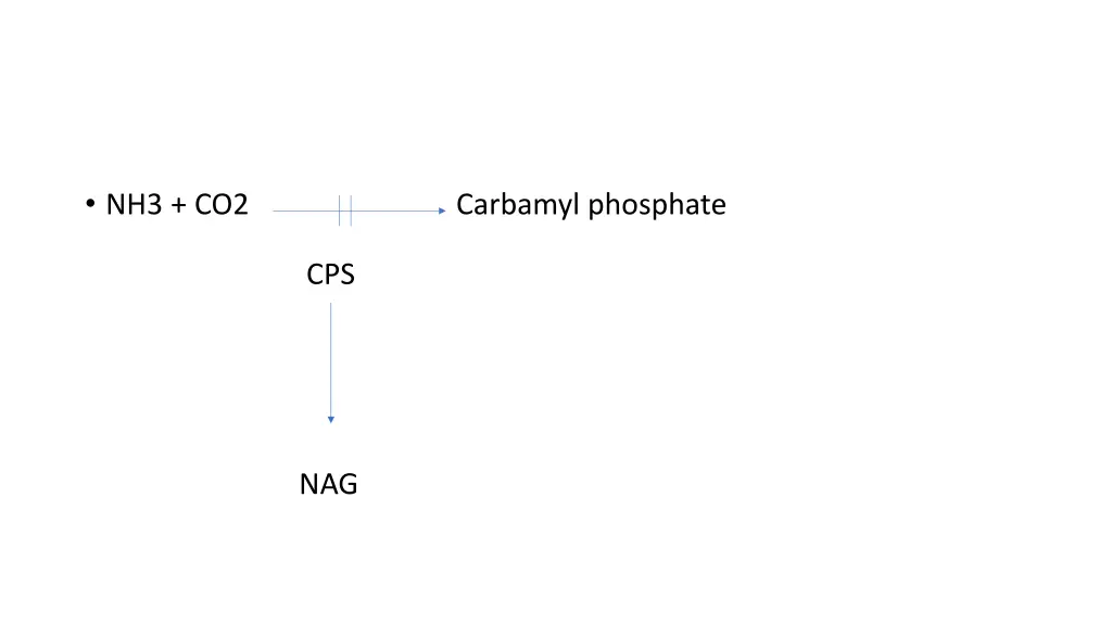 nh3 co2 carbamyl phosphate