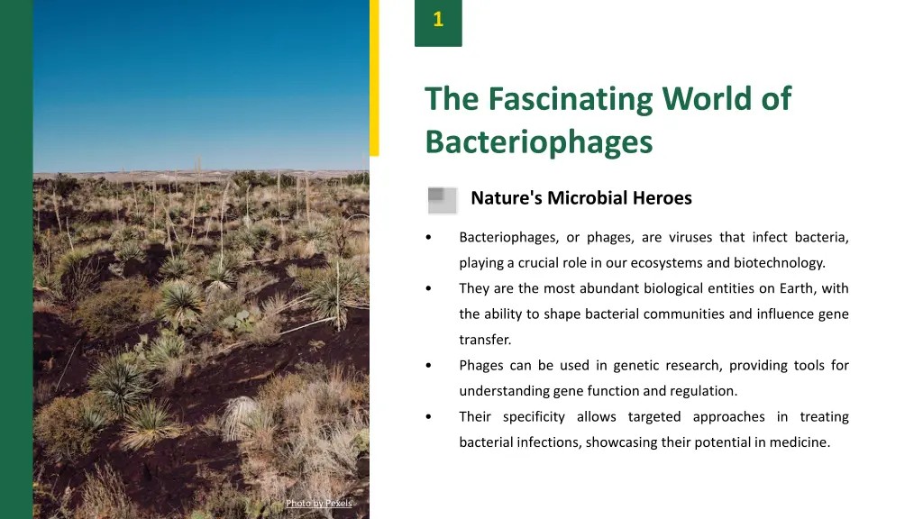slide3