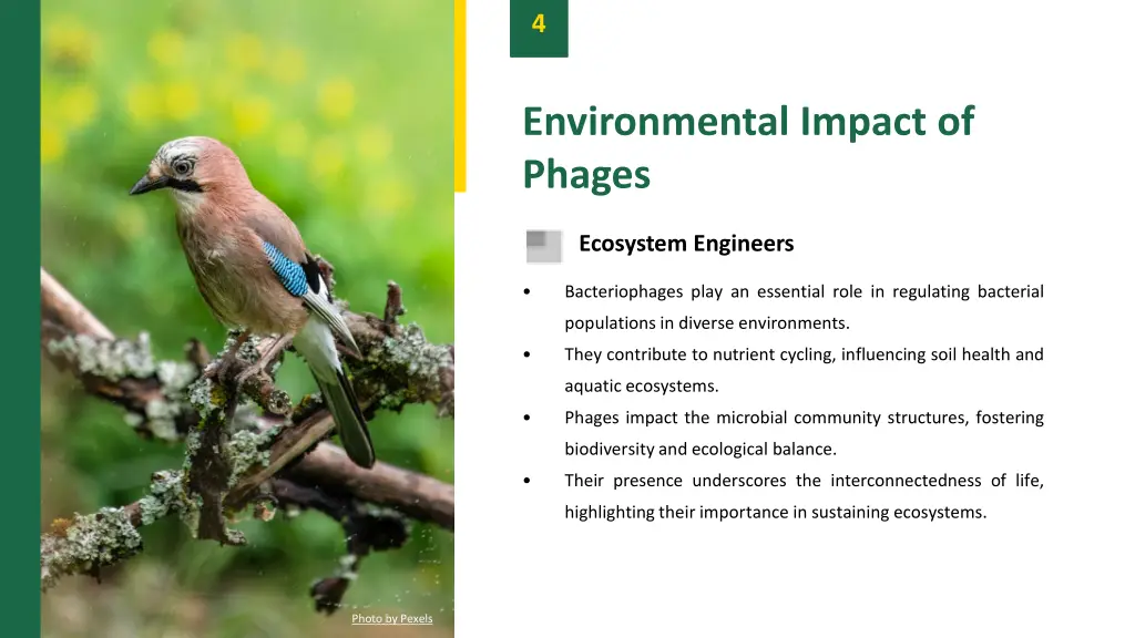 slide6