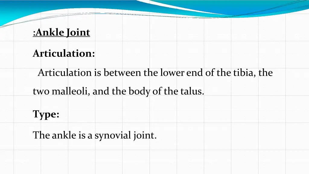 ankle joint