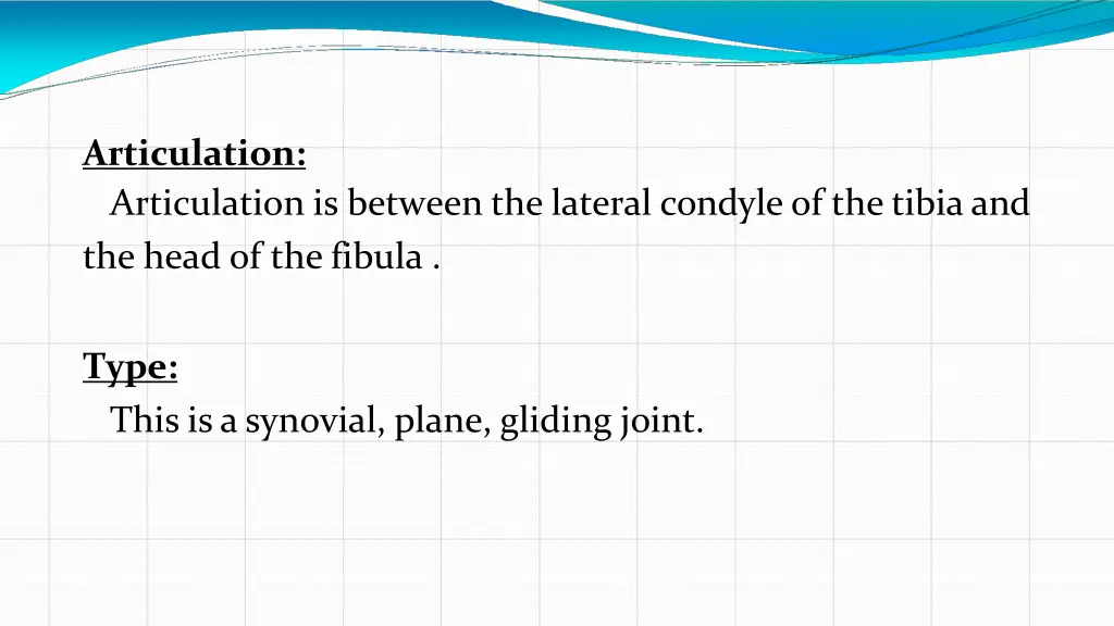 articulation articulation is between the lateral