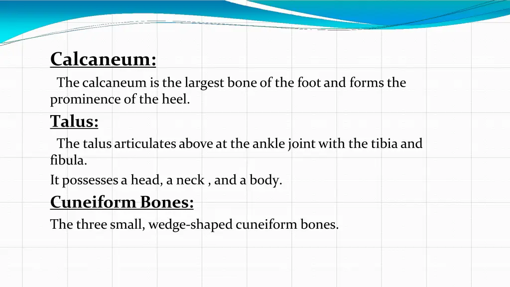 calcaneum the calcaneum is the largest bone