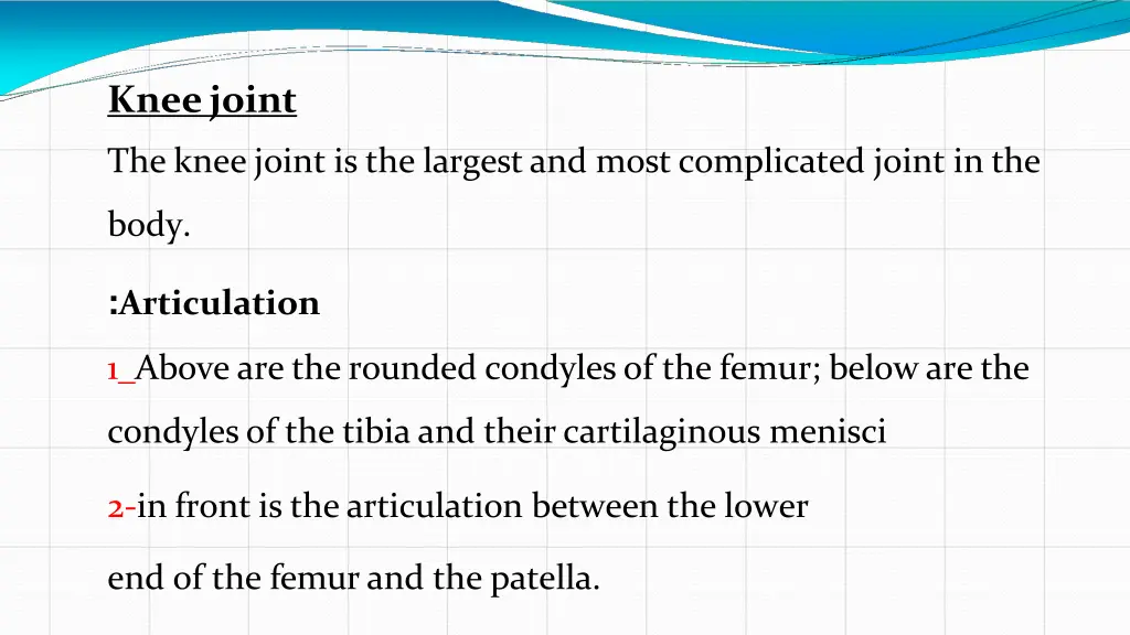knee joint 1