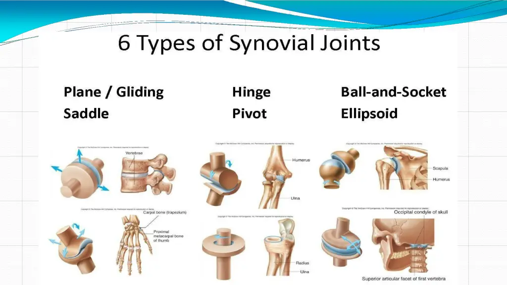 slide10