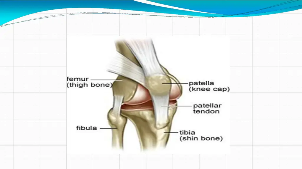 slide3