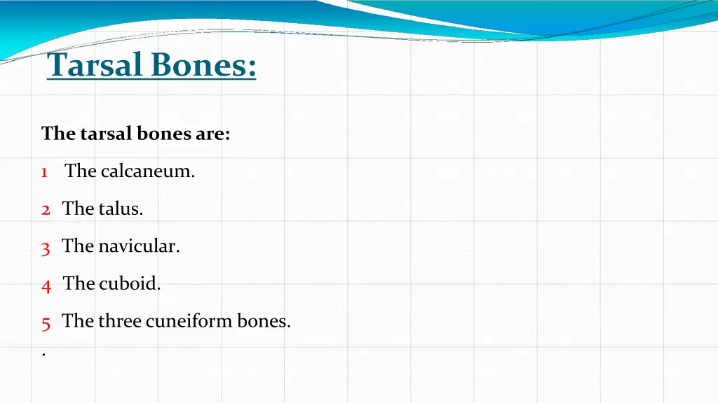 tarsal bones
