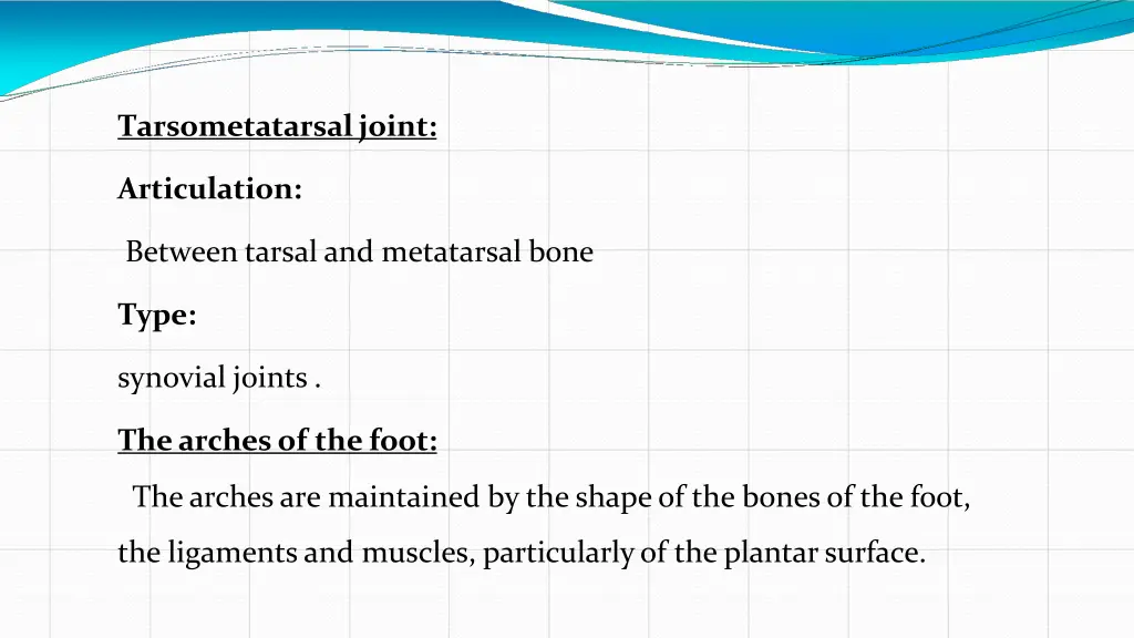 tarsometatarsal joint