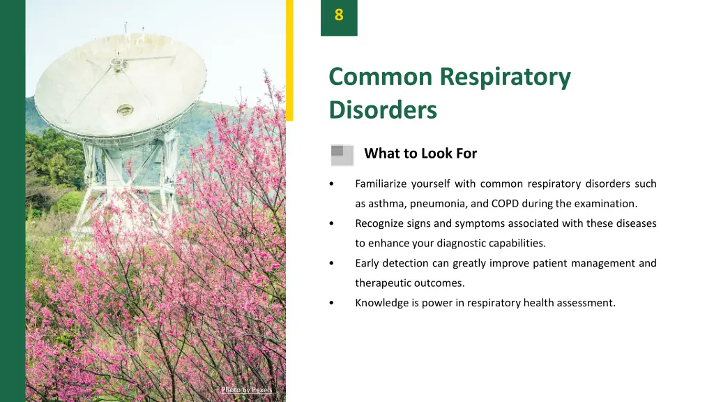 slide11
