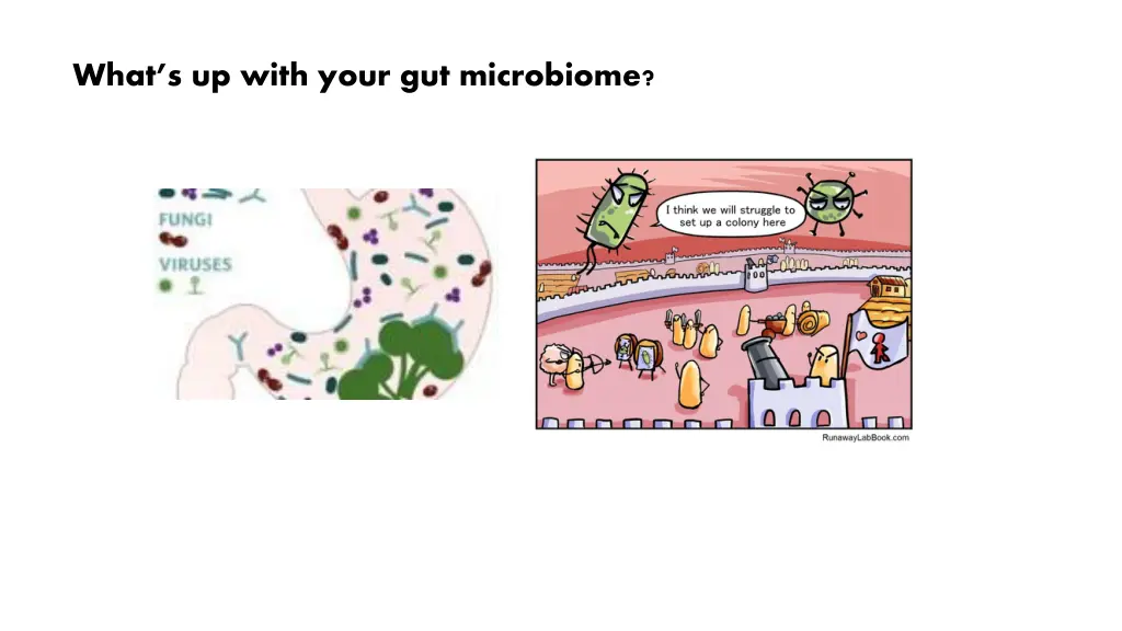 what s up with your gut microbiome
