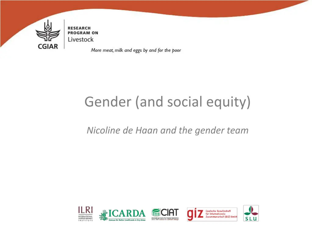 gender and social equity