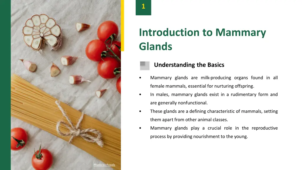 slide3