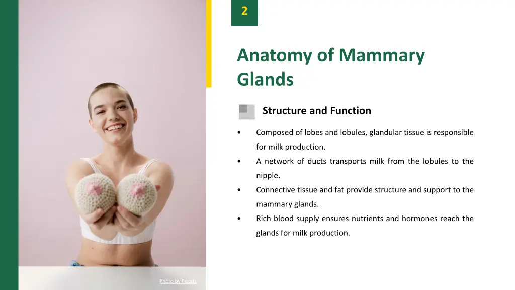 slide4