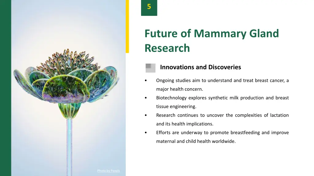 slide7