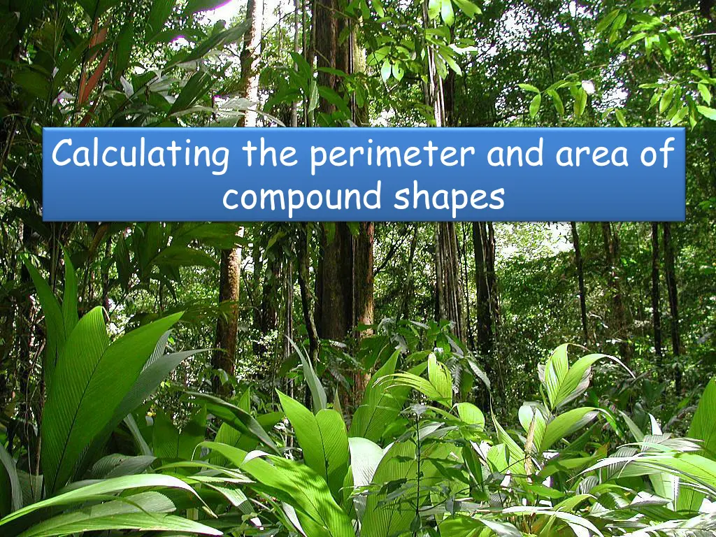 calculating the perimeter and area of compound