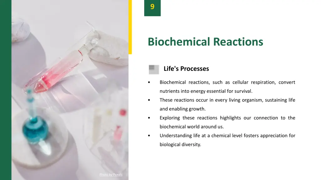 slide11