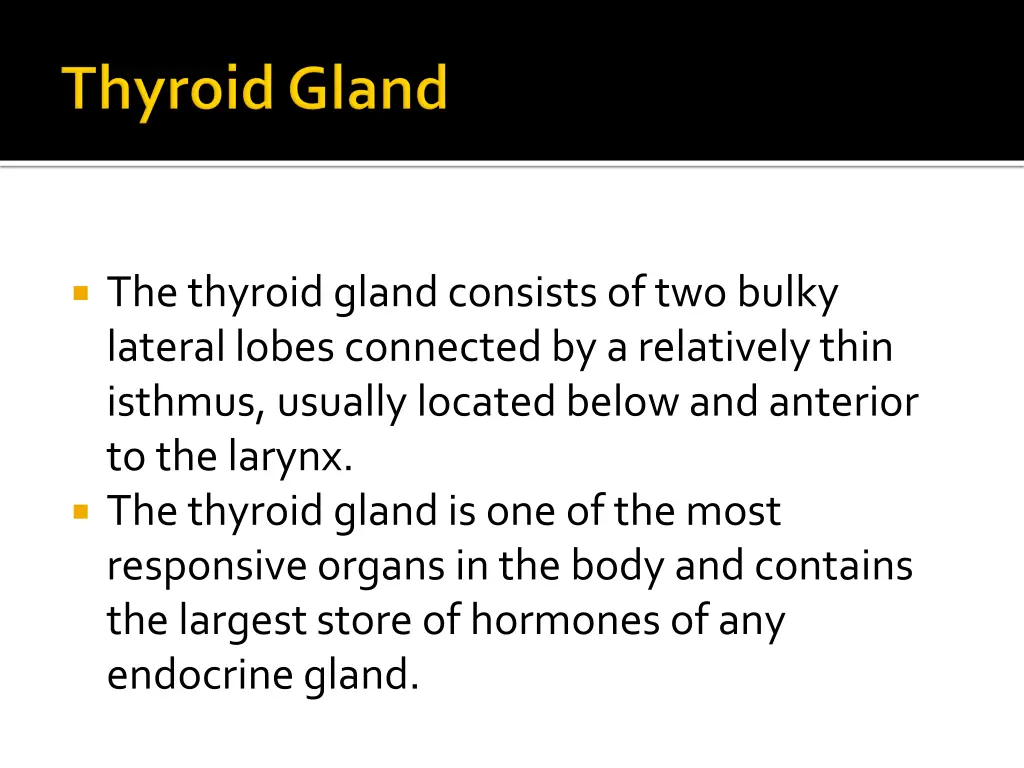 the thyroid gland consists of two bulky lateral